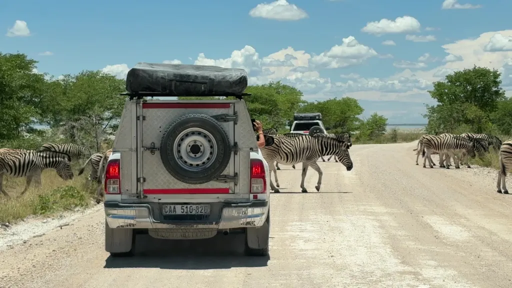 Zebrastreifen, 13.11.2025 13:27