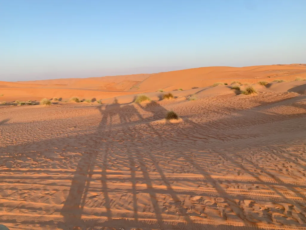 Sarmadi Desert Camp, 11.11.2024 17:54