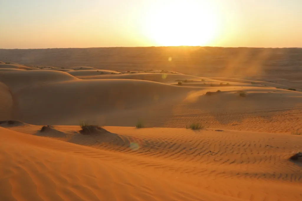 Sarmadi Desert Camp, 11.11.2024 18:07