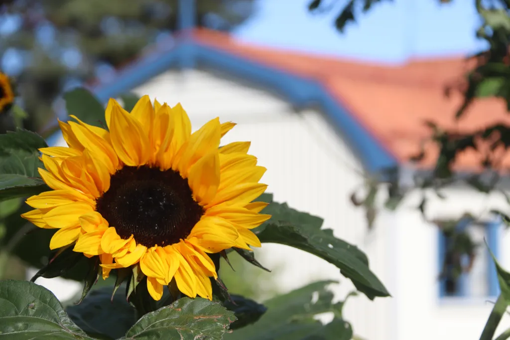 Marholmen, 27.08.2025 17:36