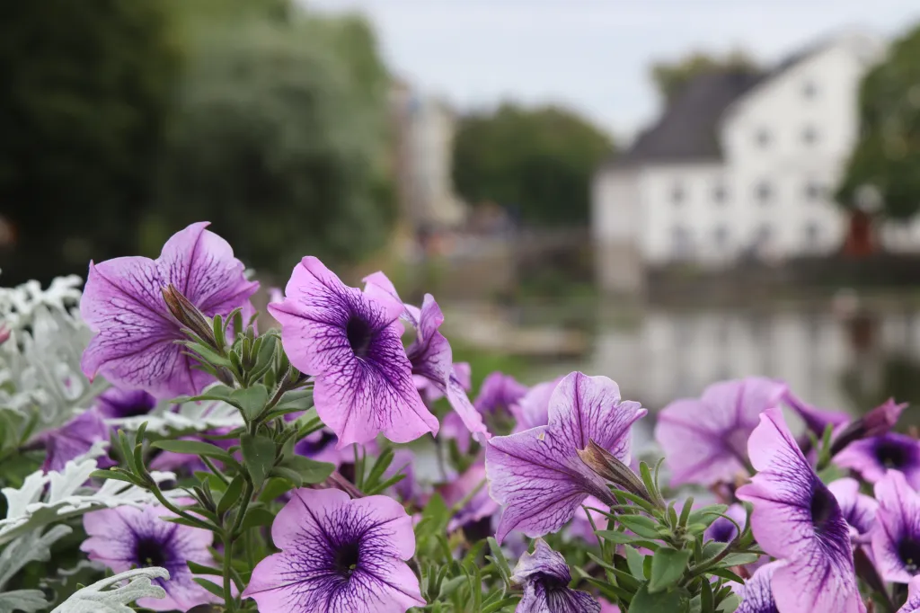 Uppsala, 31.08.2025 18:01