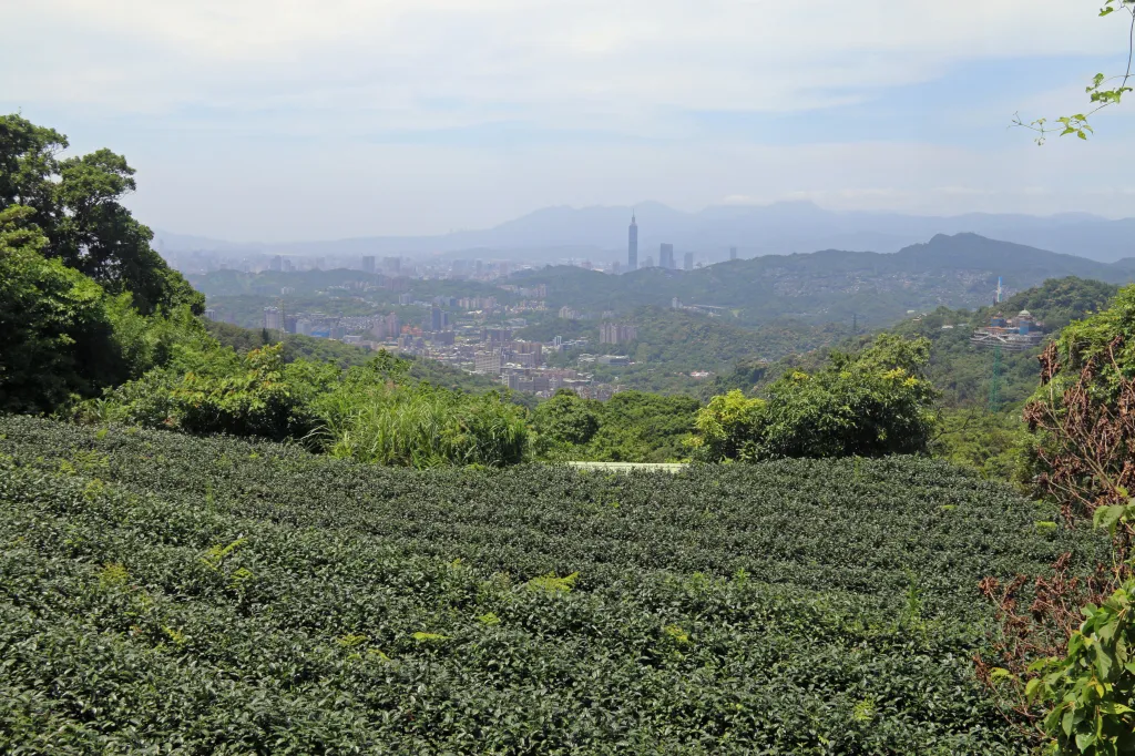 Letzter Teil: Maokong, 16.05.2024 13:42