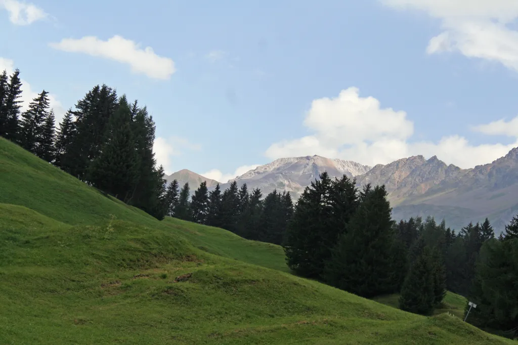 Alp Fops hike, 25.08.2012 12:48